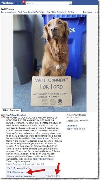 Iams-Pet-Food-Facebook-Post