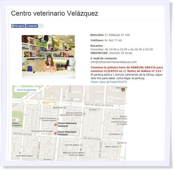 posicionamiento seo local